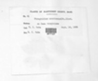 Image Associated With the Occurence